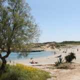 la Mezzaluna, racchiusa tra il mare e una piccola laguna salmastra, circondata da un canneto e da dune sabbiose ricche di mirto e lentisco
